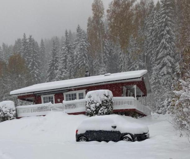 Villa Sunne Stugcenter 12 Gräsmark Esterno foto