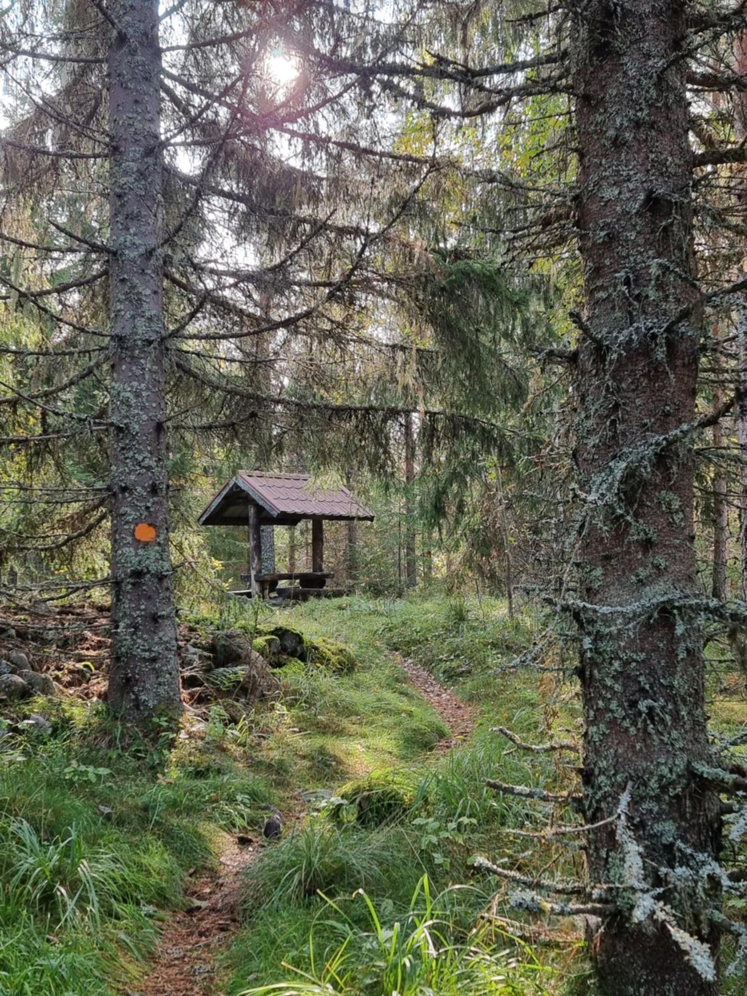 Villa Sunne Stugcenter 12 Gräsmark Esterno foto
